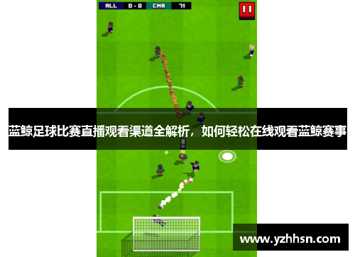 蓝鲸足球比赛直播观看渠道全解析，如何轻松在线观看蓝鲸赛事